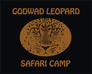 Godwad Safari Camp :: Leopard Safari in Rajasthan